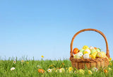Happy Easter Spring Flowers Easter Eggs Backdrop for Photography SH039