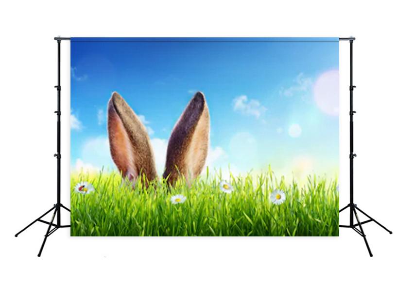 Easter Bunny Green Grass Photo Studio Backdrop SH087