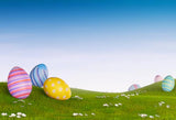 Easter Eggs Green Grass Photo Booth Backdrop SH093