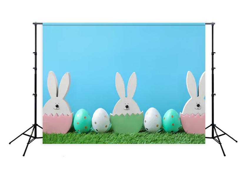 Easter Bunny Eggs Green Grass Photo Studio Backdrop SH123