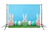 Easter Bunny Eggs Green Grass Photo Studio Backdrop SH123