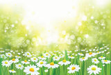 Spring Flowers Green Bokeh Backdrop for Photography SH205