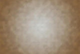 Brown Blurred Abstract Texture Photography Backdrop SH221