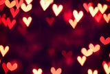 Valentine's Day Hearts Photo Shoot Backdrop SH520