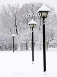 Winter Street Lamp Snowy Forest Trees Photography Backdrop for Studio