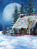 Christmas Gingerbread  House Backdrop for Photo Booth