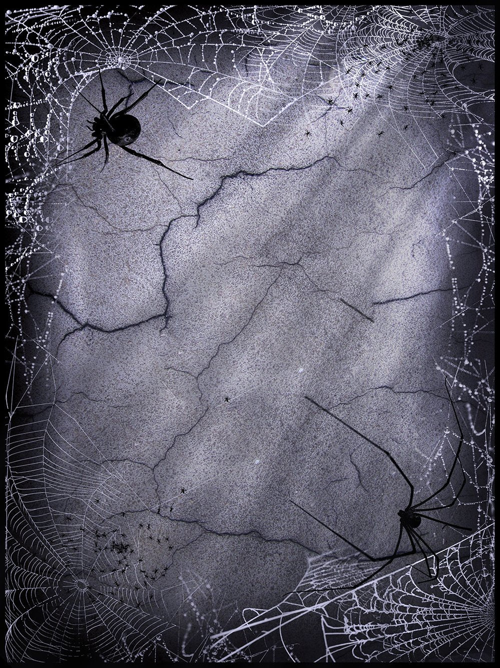 Festival Backdrops Halloween Cracked Walls Spider Web Background IBD-P19065