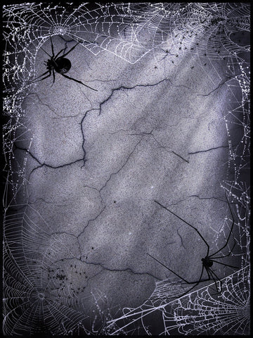 Festival Backdrops Halloween Cracked Walls Spider Web Background IBD-P19065