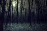 Toile de fond d'Halloween Fond de forêt sombre au clair de lune blanc terne DBD-H19022