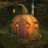 Toile de fond de forêt de citrouille Halloween DBD-19092
