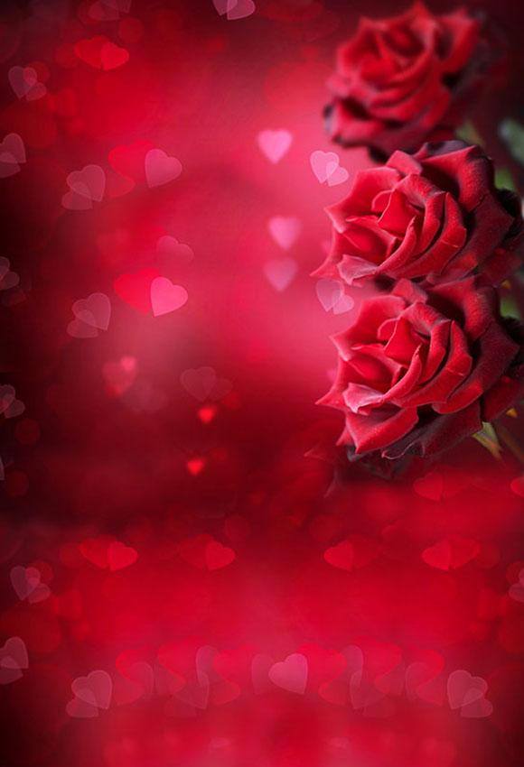 Romantic Rose Photo Backdrop for Valentine's Day LV-008