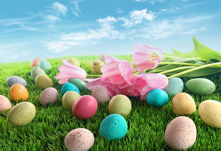 Easter Decorations Spring Flowers Green Grass Eggs Backdrop for Photography LV-1727