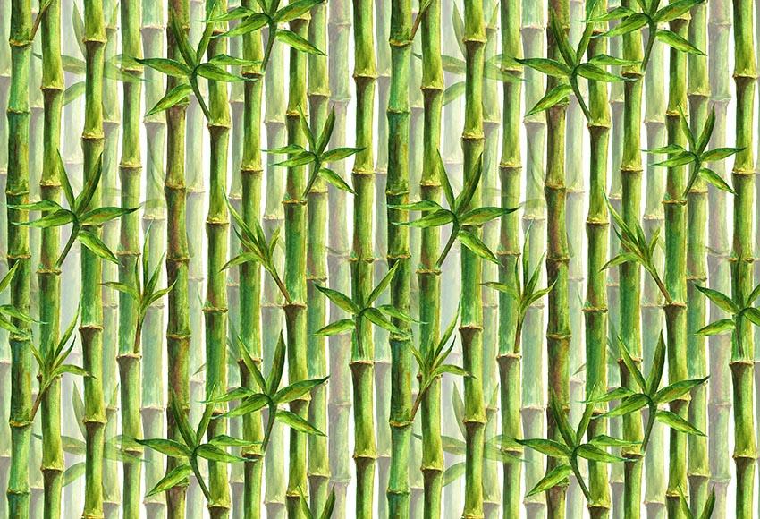Green Bamboo Forest Watercolor Painting Botanical Backdrop