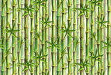 Green Bamboo Forest Watercolor Painting Botanical Backdrop