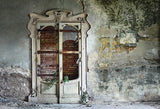 Broken Door Dust Grunge Wall Backdrop for Photo Studio LV-0816