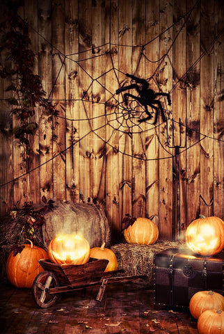 Toile d'araignée citrouille en bois mur Halloween Toile de fond pour la photographie DBD-19081